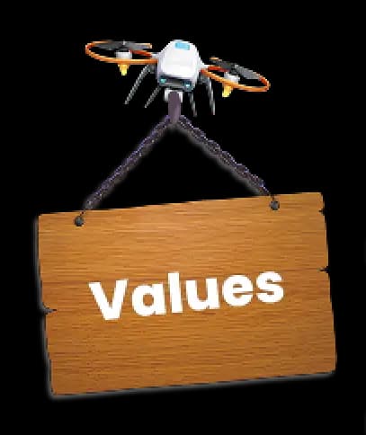 Values